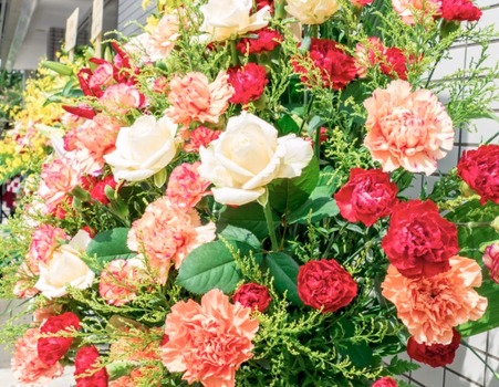 アイドルまとめ速報 ドル速(最新記事5)