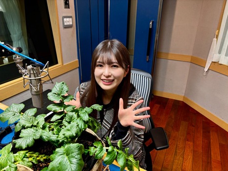 アイドルまとめ速報 ドル速(最新記事3)