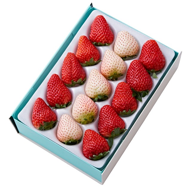 井上和ちゃん、池田瑛紗ちゃんと差し入れが被るw【乃木坂46】 | 井上和ちゃん、池田瑛紗ちゃんと差し入れが被るw【乃木坂46】 | アイドルまとめ速報 ドル速(画像09200044968683_2) 井上和ちゃん、池田瑛紗ちゃんと差し入れが被るw【乃木坂46】 | 井上和ちゃん、池田瑛紗ちゃんと差し入れが被るw【乃木坂46】 | アイドルまとめ速報 ドル速(画像09200044968683_2)