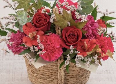 アイドルまとめ速報 ドル速(最新記事1)