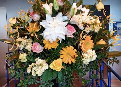 アイドルまとめ速報 ドル速(最新記事1)