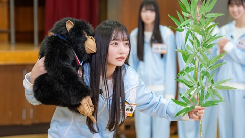 アイドルまとめ速報 ドル速(最新記事1)