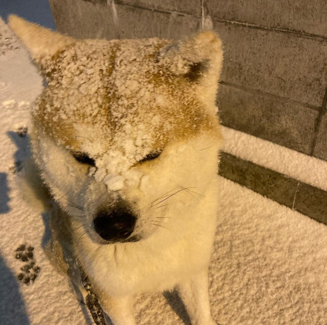 アイドルまとめ速報 ドル速(画像03011854888858_5)