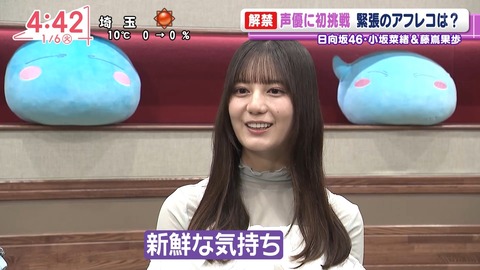 アイドルまとめ速報 ドル速(画像06085803530691_13) アイドルまとめ速報 ドル速(画像06085803530691_13)