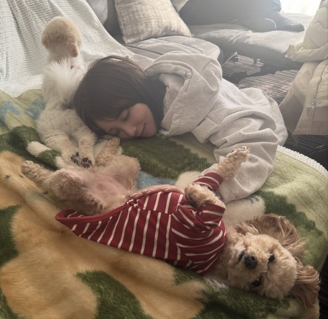 アイドルまとめ速報 ドル速(最新記事2)