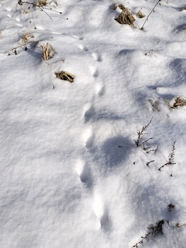 アイドルまとめ速報 ドル速(画像11201336644940_3)