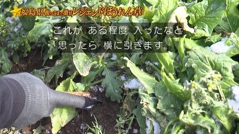 アイドルまとめ速報 ドル速(画像31194829092693_11) アイドルまとめ速報 ドル速(画像31194829092693_11)