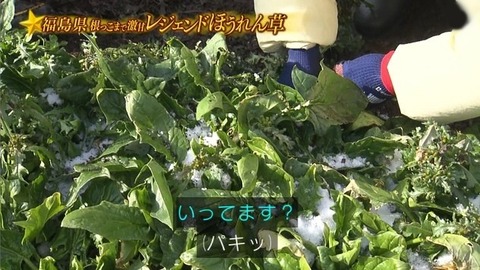 アイドルまとめ速報 ドル速(画像31194832508103_18) アイドルまとめ速報 ドル速(画像31194832508103_18)