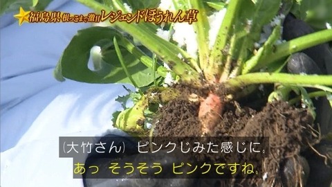 アイドルまとめ速報 ドル速(画像31194837276128_28) アイドルまとめ速報 ドル速(画像31194837276128_28)