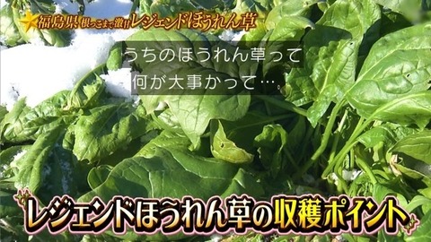 アイドルまとめ速報 ドル速(画像31194828097261_9) アイドルまとめ速報 ドル速(画像31194828097261_9)