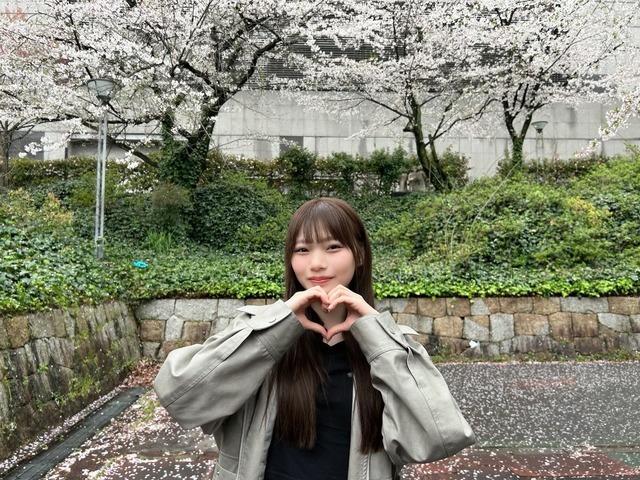 42枚目シングルセンター、ほぼこの4択に絞られるwwwwwww
 | アイドルまとめ速報 ドル速(ピックアップ4)