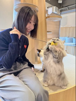 菅原咲月ちゃんの｢逃走中｣ 裏話がコチラ！！！【乃木坂46】
 | アイドルまとめ速報 ドル速(ピックアップ4)
